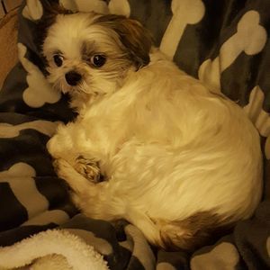 Meet your Posher, Deb